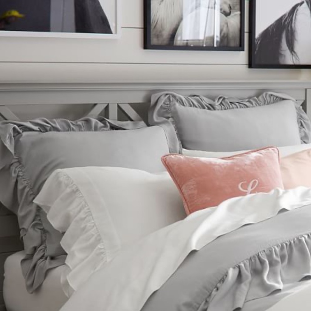 Pottery Barn Set 2/ TENCE Ruffle Euro Pillow Shams